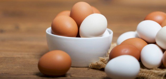 البروتين في البيض: التركيز والقيمة الغذائية