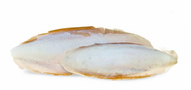 فوائد نبتة لسان البحر