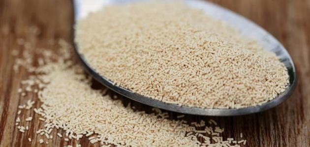 طريقة استخدام خميرة البيرة لتسمين الوجه