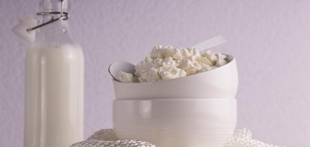 جبنة الريكوتا: خصائصها وفوائدها وأضرارها