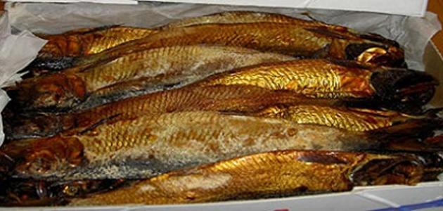 فوائد سمك الرنجة الصحية والقيمة الغذائية