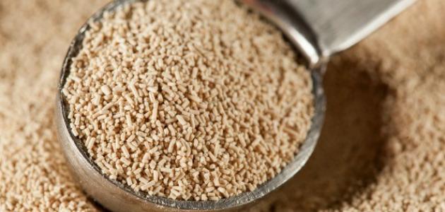 فوائد الخميرة الغذائية للأطفال