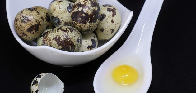 فوائد بيض السمان الغذائية والصحية