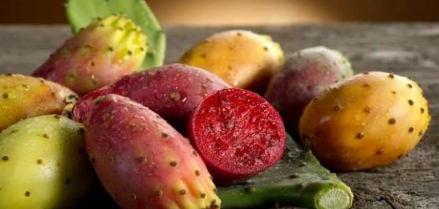 فوائد الصبّار وأهميته الصحية