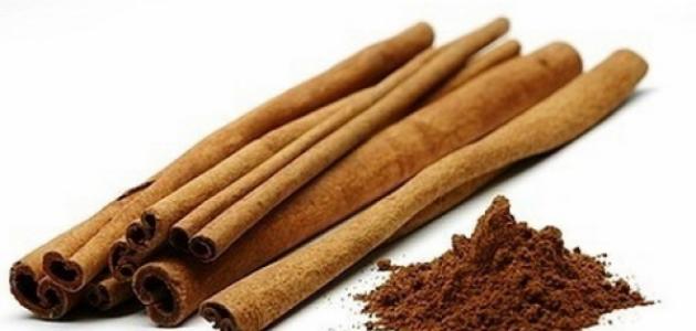 فوائد القرفة للبشرة: اكتشف كيف تعزز جمالك