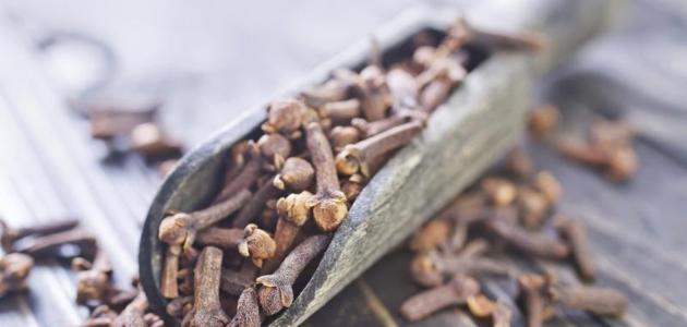 فوائد زيت القرنفل للكرش والصحة العامة