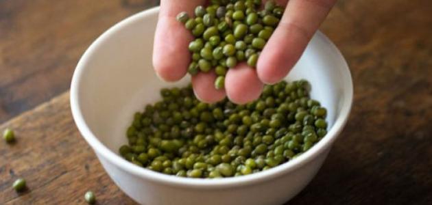 فوائد الماش الصحية للجسم