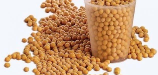 فوائد واستخدامات فول الصويا