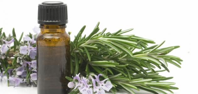 فوائد زيت السدر للصحة والجمال