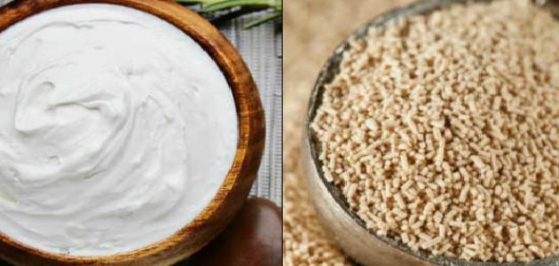 فوائد الخميرة والزبادي للبشرة