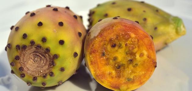 فوائد الصبار الصحية وتأثيراته المحتملة