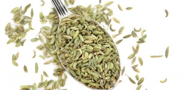 فوائد اليانسون والشمر في إنقاص الوزن