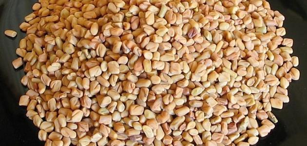 اكتشف فوائد مغلي الحلبة للبشرة وكيفية استخدامه