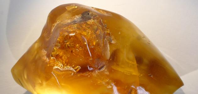 فوائد وأضرار العنبر للأطفال