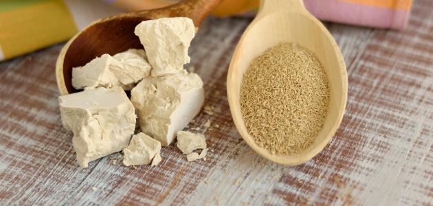 فوائد وأضرار خميرة البيرة