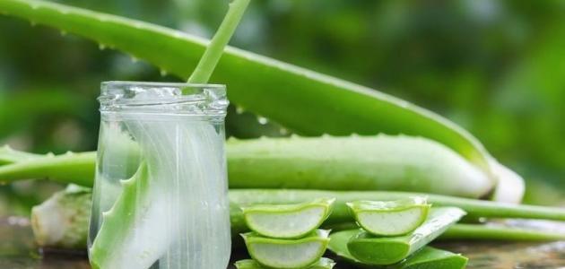 فوائد جل الصبار للبشرة وكيفية استخدامه