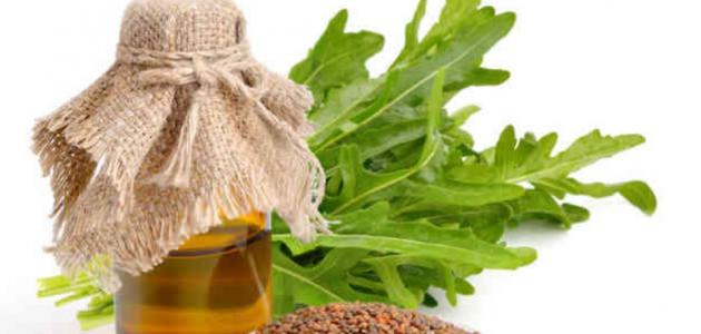 فوائد زيت الجرجير الصحية